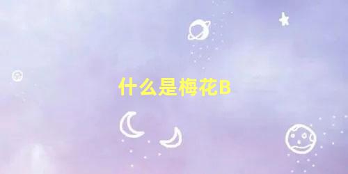 什么是梅花b 梅花有什么特点呢(梅花是什么特点是什么)